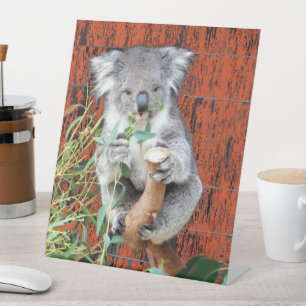 Signe De Table Symbole du guéridon Koala Snack Time