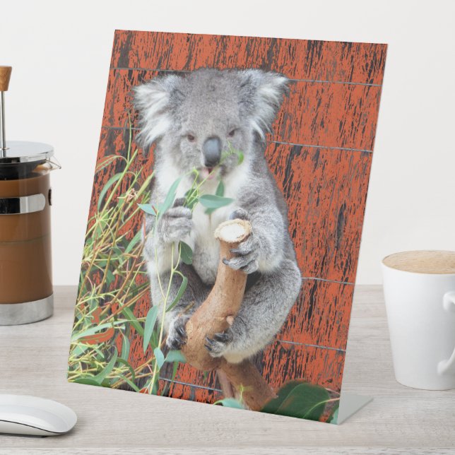 Signe De Table Symbole du guéridon Koala Snack Time (In SItu)