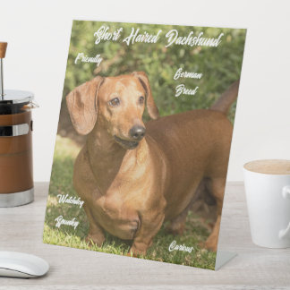 Signe De Table Symbole Pestastal Rouge Dachshund aux cheveux cour