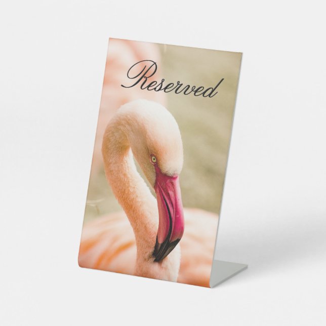 Signe De Table Un Beau Flamant rose Rose Réservé (Recto)
