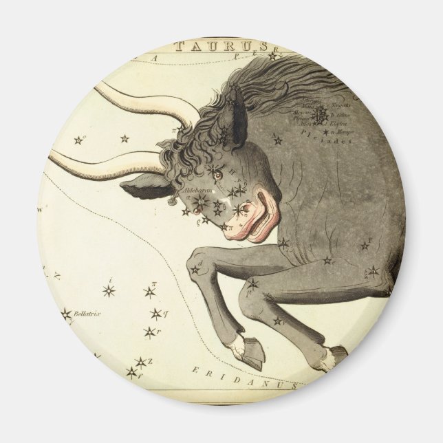 Signe zodiaque : Taurus magnet (Devant)