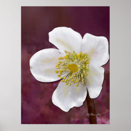 Signed High-Poly Winter Rose Art Print Poster