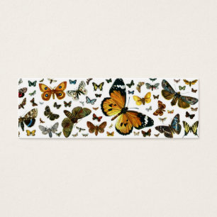 Signet ancien d'image de papillons colorés