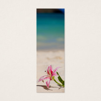 Signet Beach Lily
