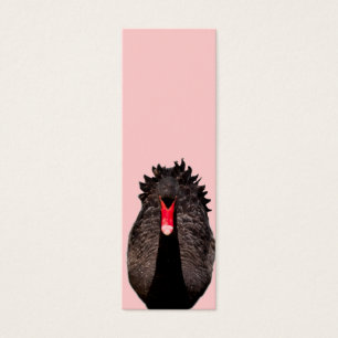 Signet de cygne noir