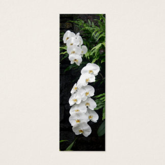 Signet de fleurs tropicales