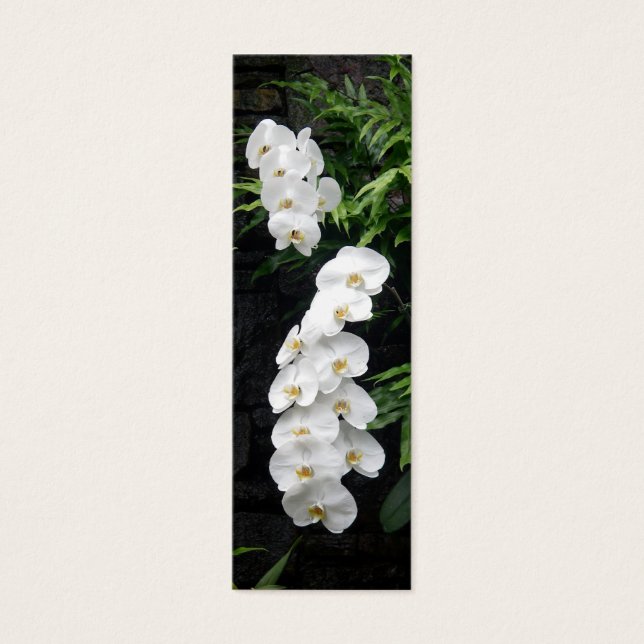 Signet de fleurs tropicales (Devant)