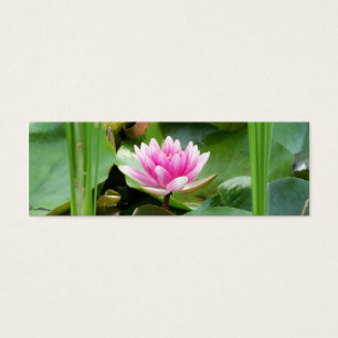 Signet de Lotus