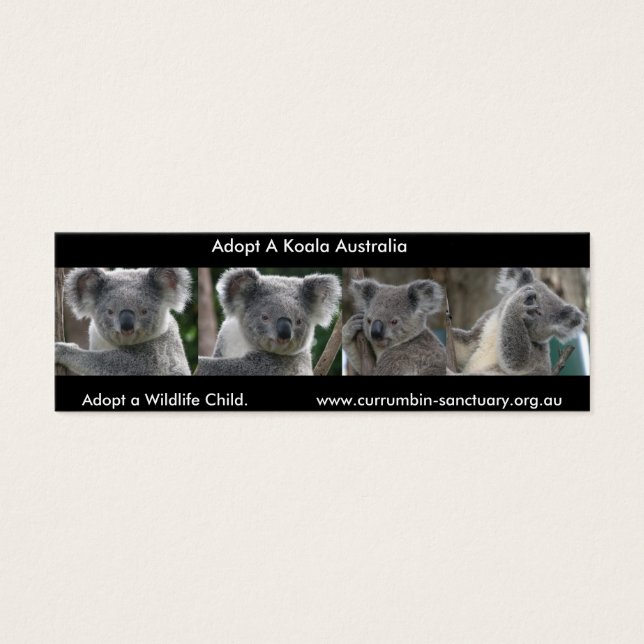 Signet Koalas Adopter un enfant sauvage Australie (Devant)