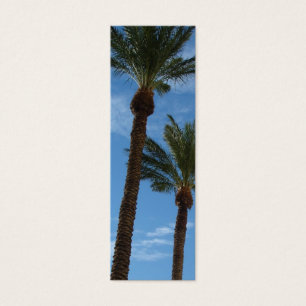 Signet Palm Trees