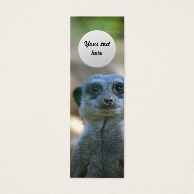 Signet personnalisé Meerkat (Devant)
