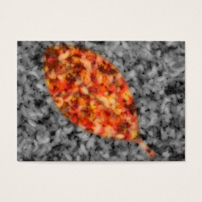 Signets de Bright Shadows (Devant)