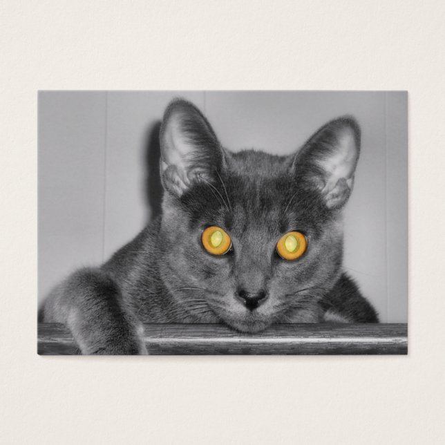 Signets d'or de Dusky (Devant)