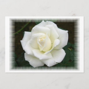 Significations Roses Invitation