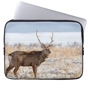 Sika-Hirsch auf einem schneebedeckten Feld   Japan Laptopschutzhülle