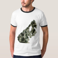 Sikhote-Alin Meteorit