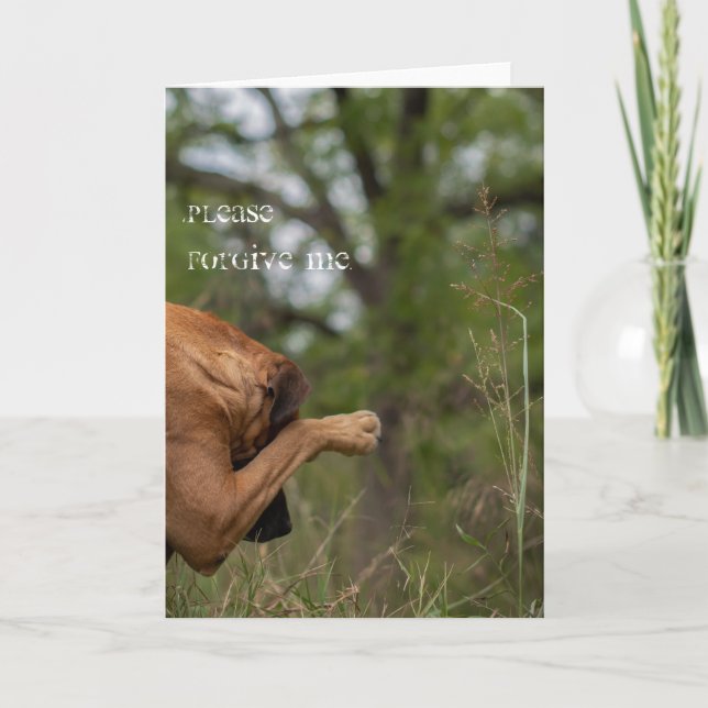 S'il te plaît, pardonne-moi la carte (Devant)