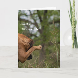 S'il te plaît, pardonne-moi la carte