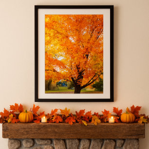 Silber-Ahornbaum-Foto-Poster Herbst Fotodruck