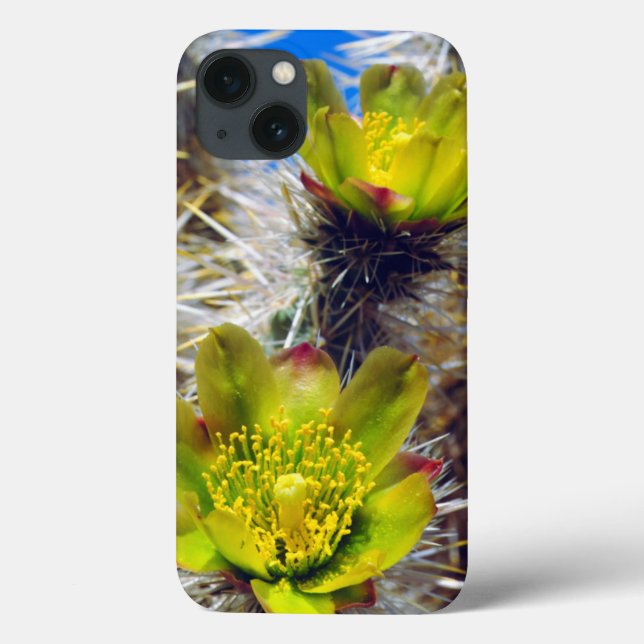Silber Cholla Kaktus Wildblumen Case-Mate iPhone Hülle (Rückseite)
