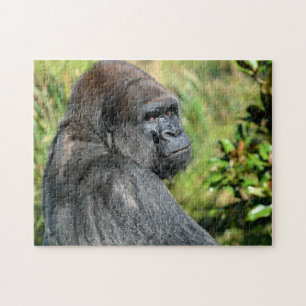 Silber-hinterer Gorilla