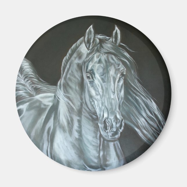 Silber Magnet (Vorne)