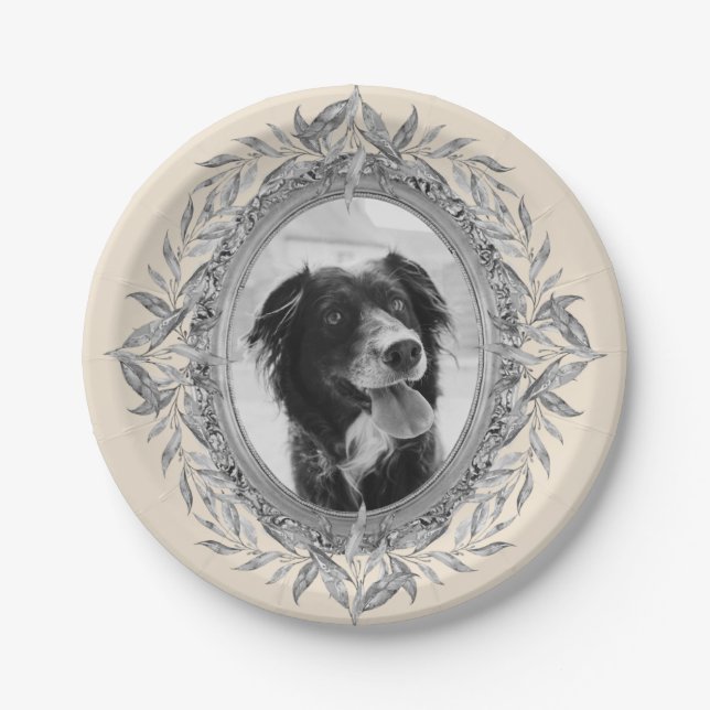 Silber-Rahmen-Foto für Feiertage Pappteller (Vorderseite)