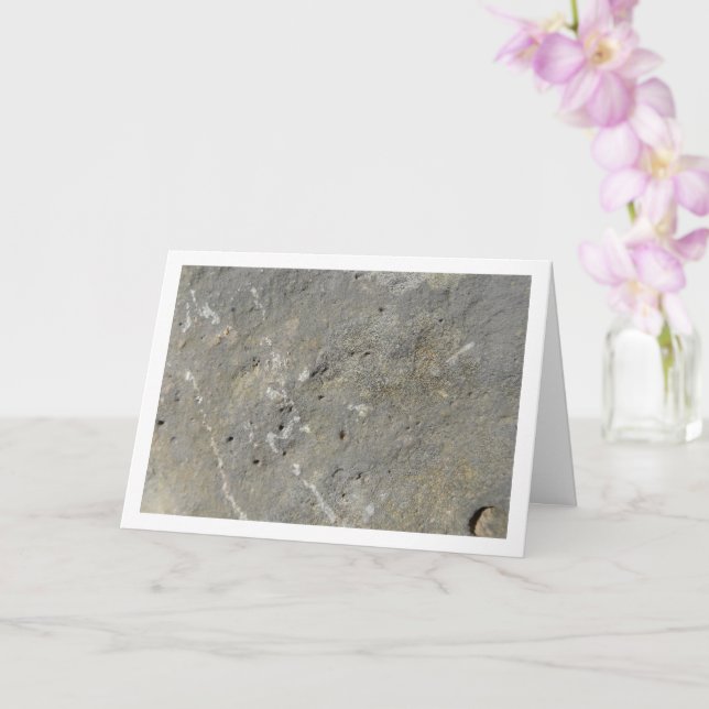 Silber Rock, Stone Background Karte (Orchidee)