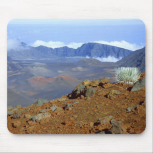 Silber-Schwertlilie am Rand des Haleakala-Kraters  Mousepad