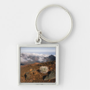 Silber-Schwertlilie am Rand des Haleakala-Kraters Schlüsselanhänger