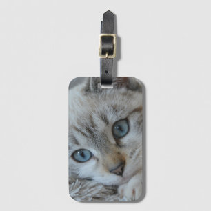 Silber Tabby Siamese Gepäckanhänger