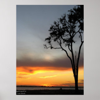 Silber und Gold Poster