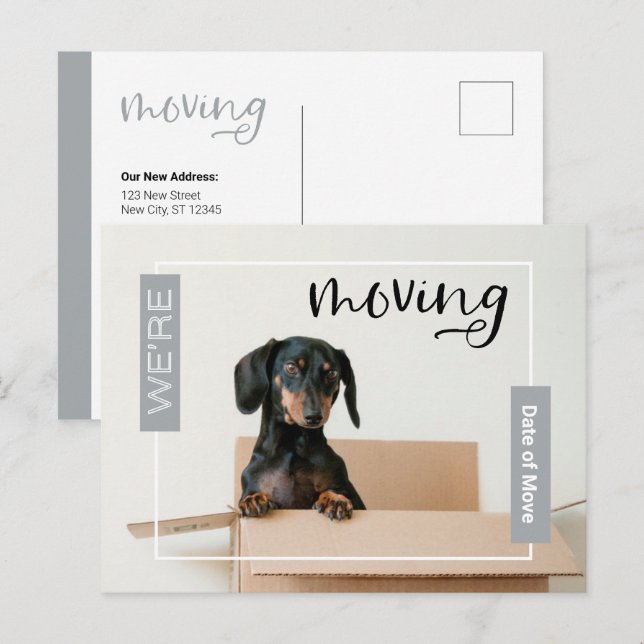 Silber Wir bewegen Dackel Hund in Box Postcard Postkarte (Vorne/Hinten)