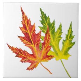 Silberapfel auf einer Keramik Fliese