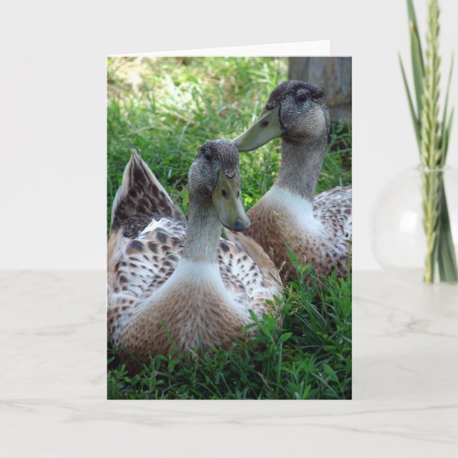 Silberappleyard Karte (Vorderseite)