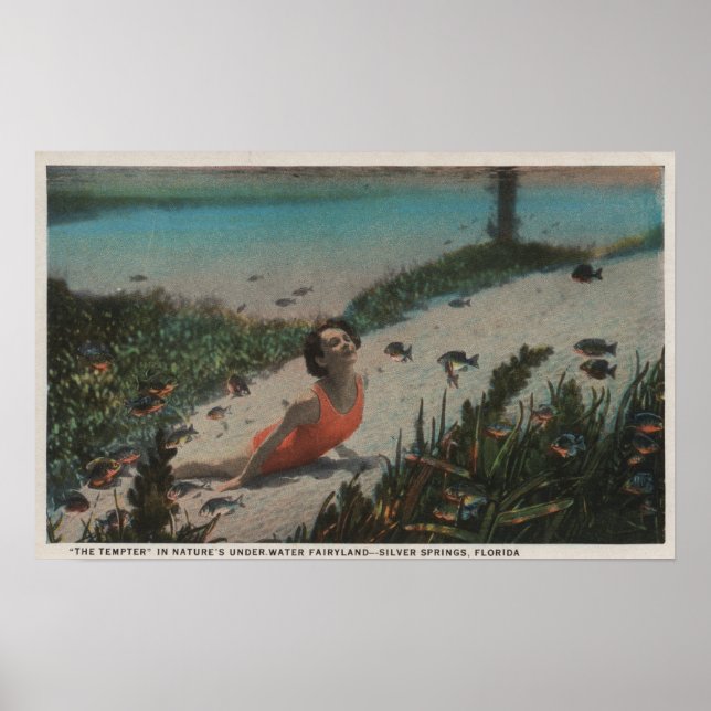Silberbringe, FL - Frauen unter Wasser schwimmen Poster (Vorne)