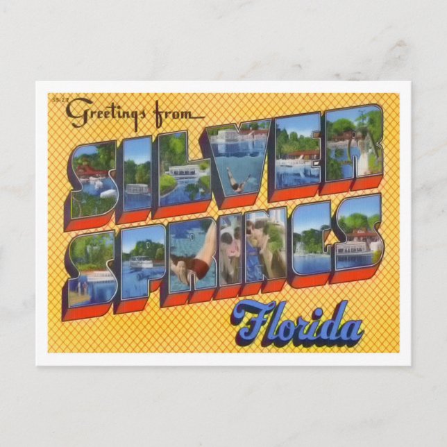 Silberbringe, Florida Vintag Big Letters Postkarte (Vorderseite)