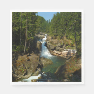 Silberfälle im Mount Rainier National Park Serviette