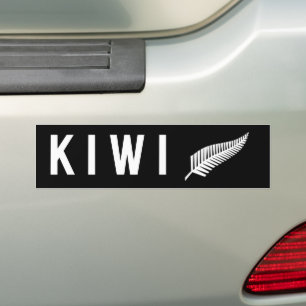 Silberfarnflagge (NZ) Autoaufkleber