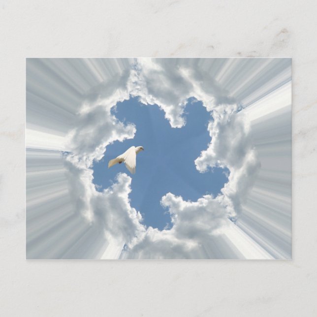 Silberfliegenwolke mit Taube Postkarte (Vorderseite)