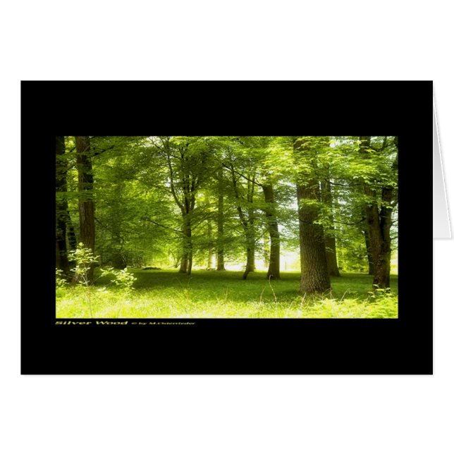 Silberholz (Karte) (Vorderseite (Horizontal))