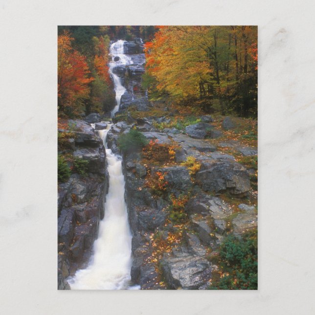 Silberkaskade Herbst Postkarte (Vorderseite)