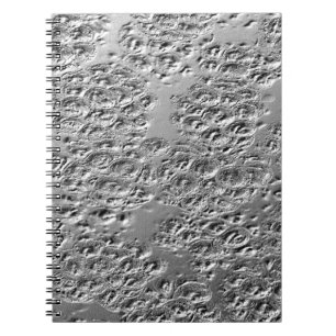 Silbermetall beschädigt notizblock