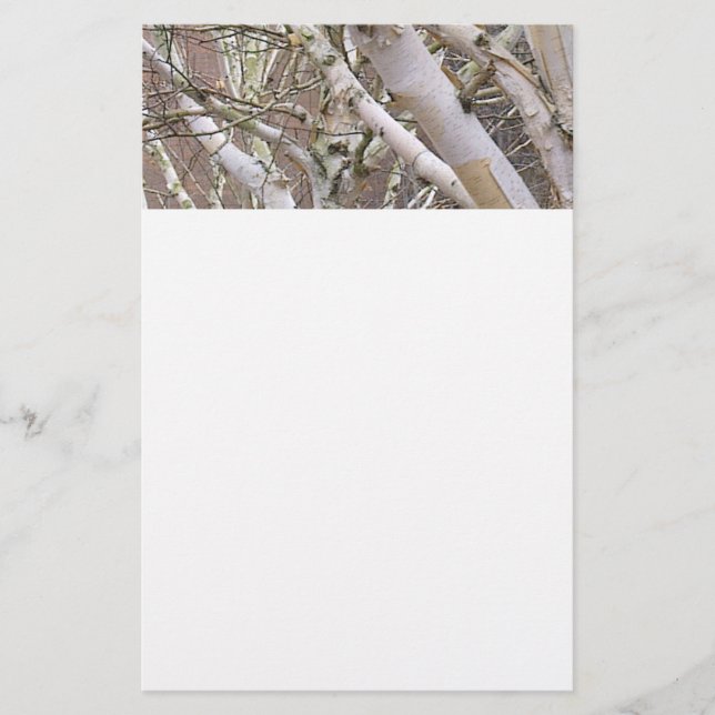 Silberne Birken-Briefpapier Briefpapier (Vorderseite)