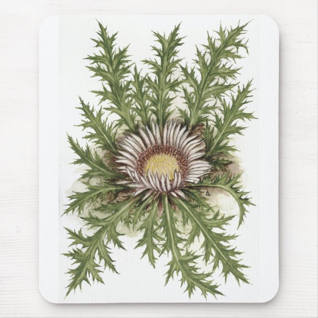 Silberne Distel-Sammlung Mousepad (Vorne)