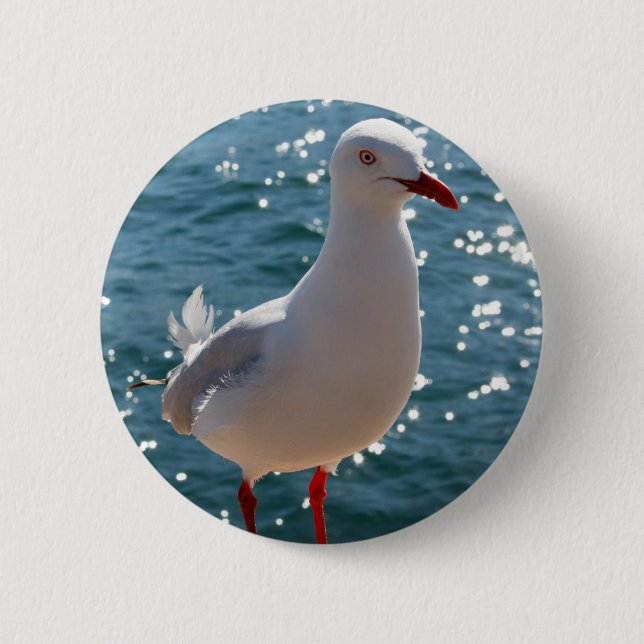 Silberne Möve Button (Vorderseite)
