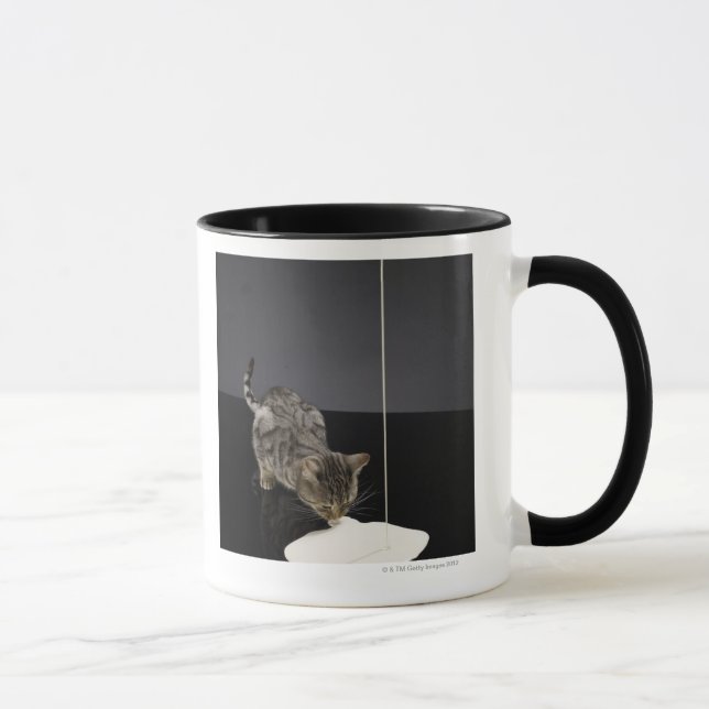 Silberne trinkende Creme der Tabbykatze vom Boden Tasse (Rechts)