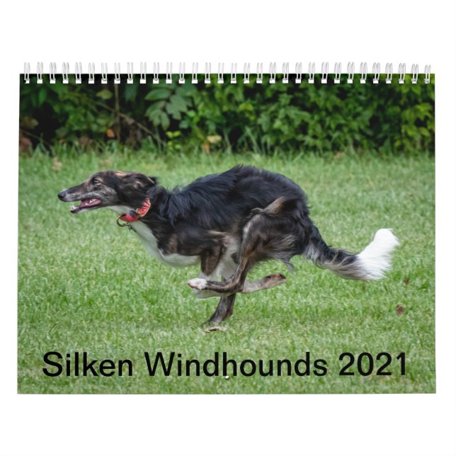 Silberne Windhunde 2021 in Aktion Kalender (Titelbild)