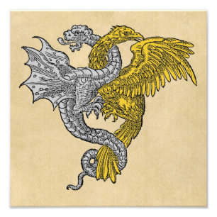 Silberner Drache und goldenes Eagle Fotodruck