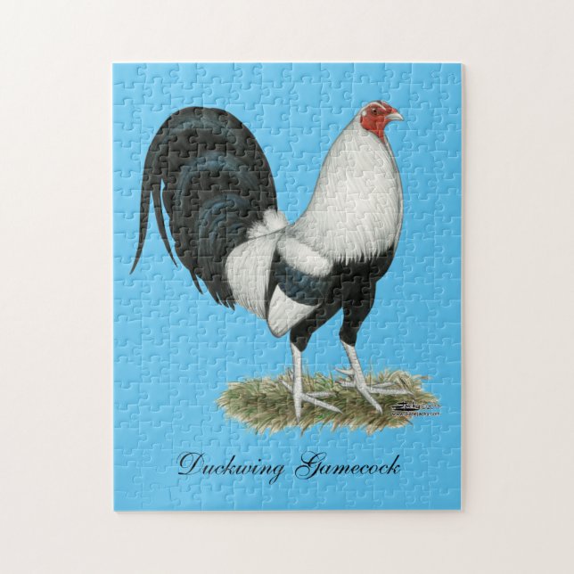 Silberner Duckwing Kampfhahn (Vertikal)